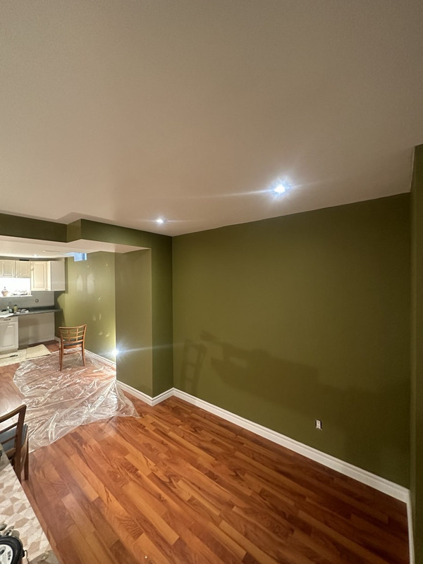 Ceiling painting work