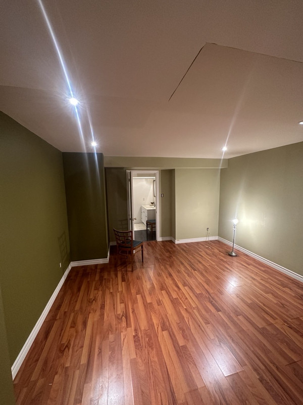Professional wall painting